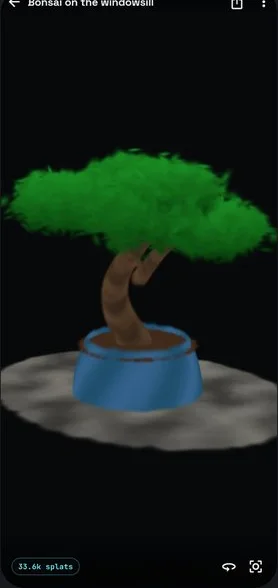 A bonsai splat in the viewer